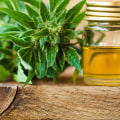 What forms of payment do stores accept for buying thc-o?