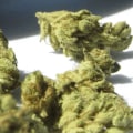 What is the difference between cbd and thc-o?