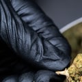 Is thc-o legal in the usa?