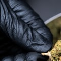 Is thc-o banned in texas?