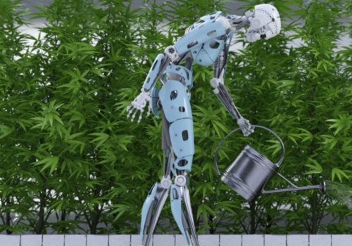 What is thc-o side effects?