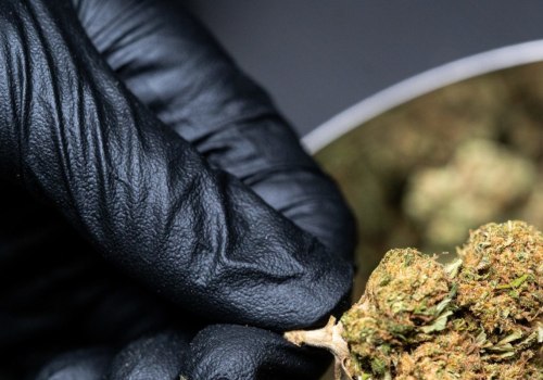 Is thc-o banned in texas?